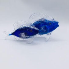 copperfish