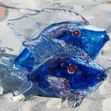 copperfish2