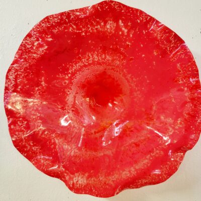 Large Wallflower #6