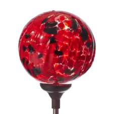 nat whim ladybird red
