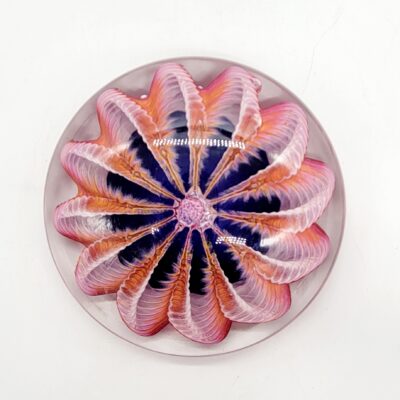 Handmade Glass Paperweights - Flat Pink Sea Urchin
