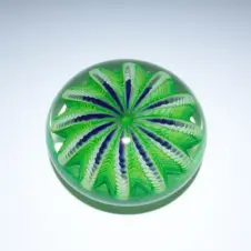 greenseaurchin1