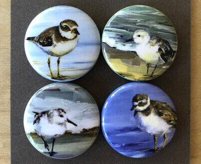 Original Art Magnet Sets - Shore Birds