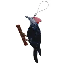 woodpecker blue
