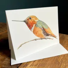 Allen's hummingbird blank note card (angled) by Amy Shawley Paquette