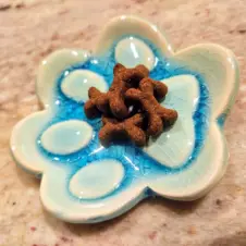 Teal Turtle Studio Ceramic Pawprint Trinket Dish (Image 3)